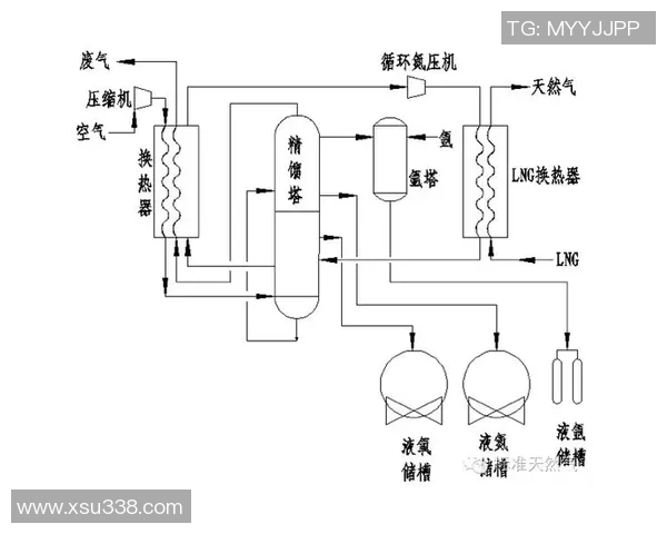 独家深度解析:LNG行业中个人能力的多维度对比与评估 独家深度解析:LNG行业中个人能力的多维度对比与评估