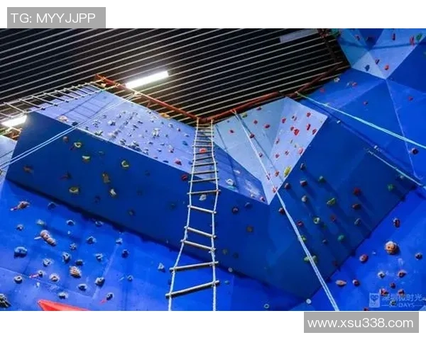 深圳攀岩队技术分析与表现评估探讨及未来发展建议