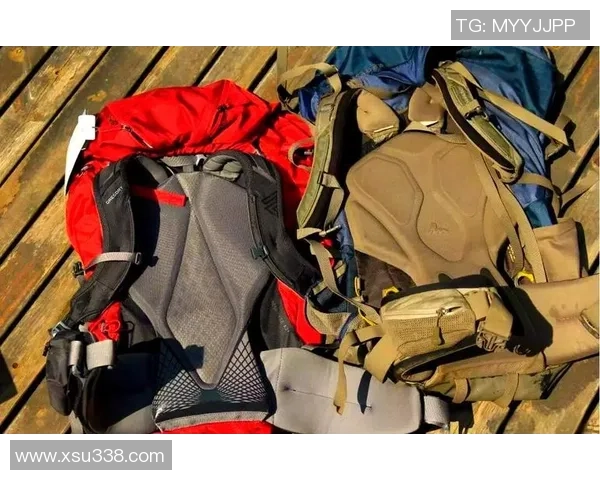 西安攀岩队勇闯高峰的反击革新之路与未来展望